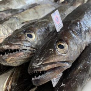 Merluza Gallega